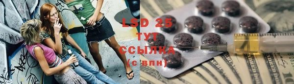 гидра Елизово