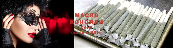 крисы Елабуга