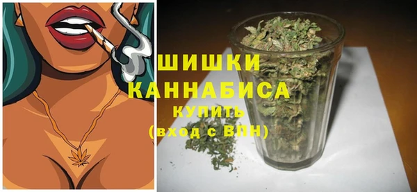 твердый Дмитров