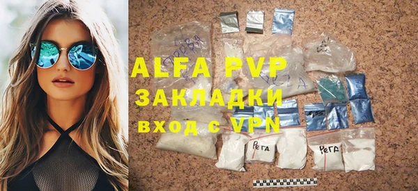 гидра Елизово