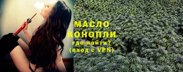 гидра Елизово