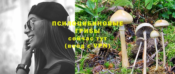 крисы Елабуга