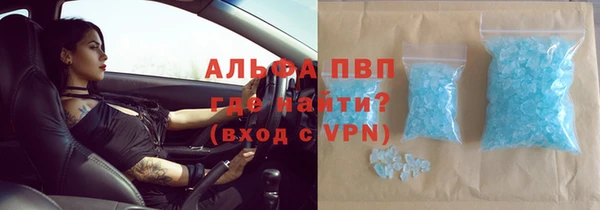 гидра Елизово