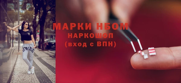 крисы Елабуга
