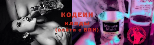 крисы Елабуга