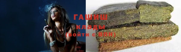 крисы Елабуга