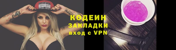 крисы Елабуга