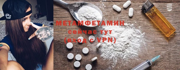 гидра Елизово