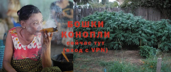 гидра Елизово