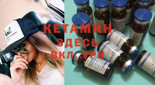 гидра Елизово