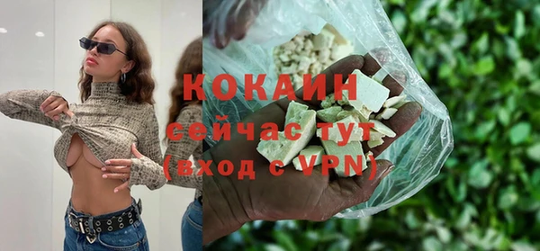 гидра Елизово