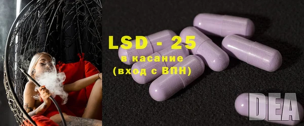 крисы Елабуга
