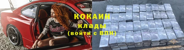 крисы Елабуга