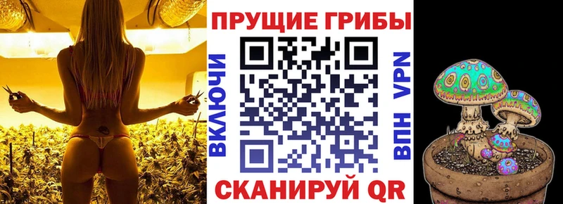 Галлюциногенные грибы Psilocybine cubensis  МЕГА зеркало  Вязьма 