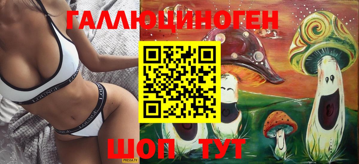 Галлюциногенные грибы Psilocybe  Вход с VPN  Вязьма 