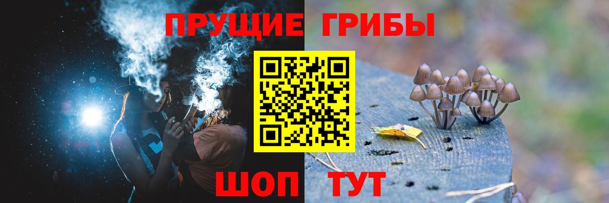 Псилоцибиновые грибы GOLDEN TEACHER  Вязьма 